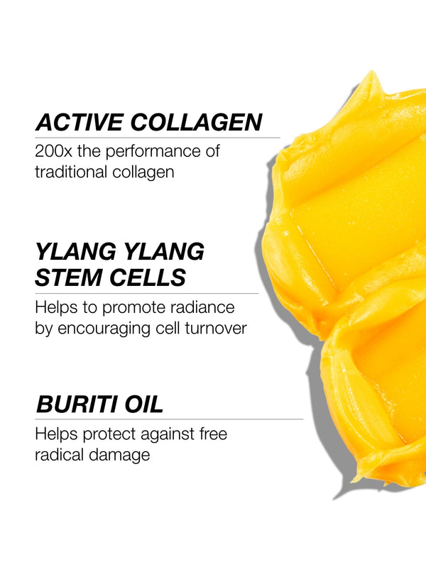 Active Collagen Discovery Set